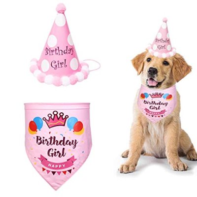 SUOXU Dog Birthday Set