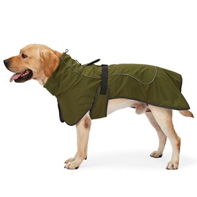 HEYWEAN Dog Coat