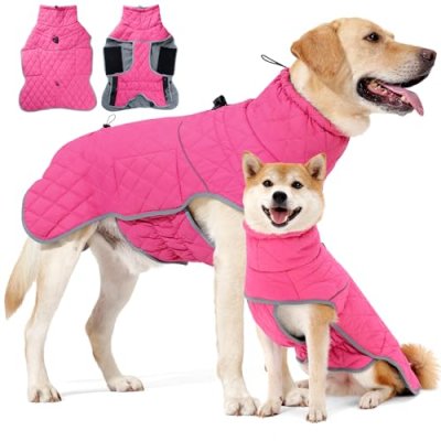 HEYWEAN Dog Coat