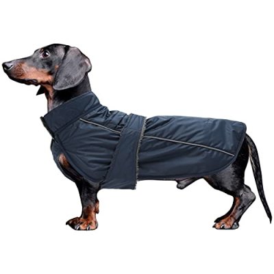 Dog Coats Waterproof, Perfect for Dachshund…