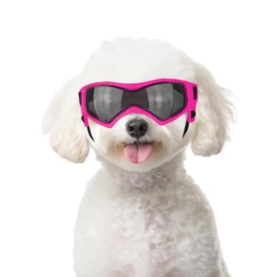 PETLESO Dog Goggles