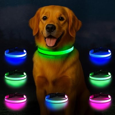 LED Dog Collar