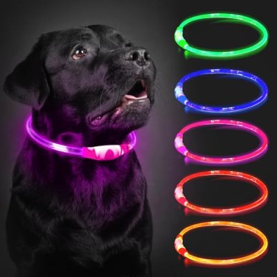 LED Dog Collar