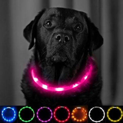 LED Dog Collar