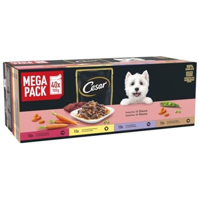 CESAR Dog Pouches in Gravy