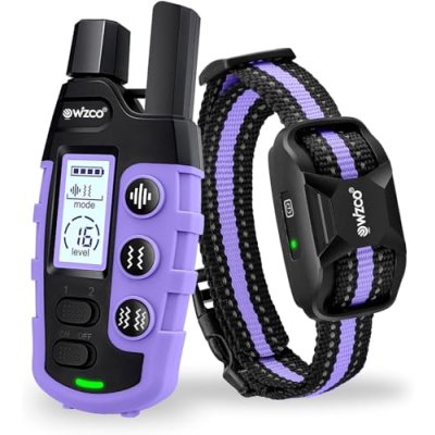 Dog Training Collar with Remote