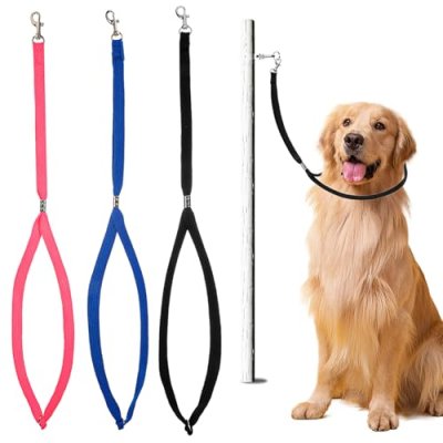 Dog Grooming Leash