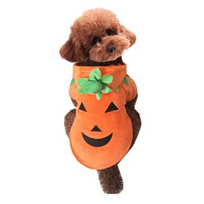 Mogokoyo Pumpkin Costume