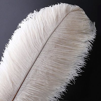 Voilalove Ostrich Feathers