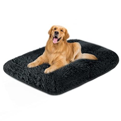Moistu Dog Bed