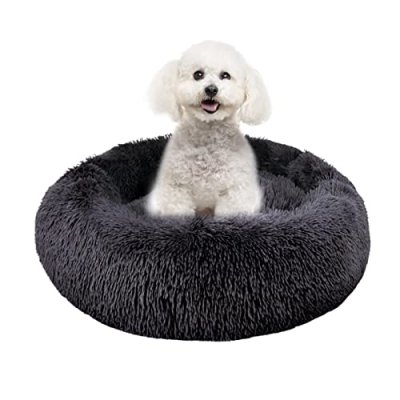 Moistu Dog Bed