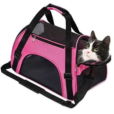 Foldable Pet Carrier Bag