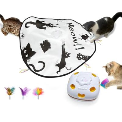 GoldenSun Interactive Cat Wand Toy