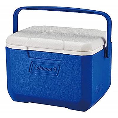 Coleman Personal Cooler