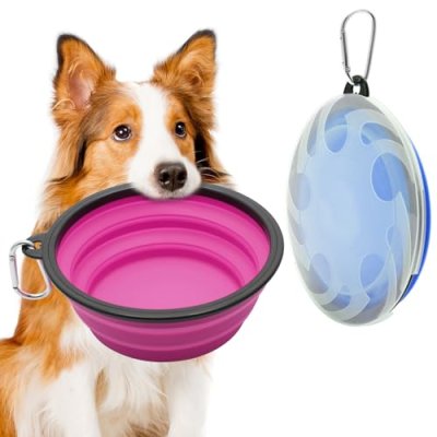 Collapsible Dog Bowls