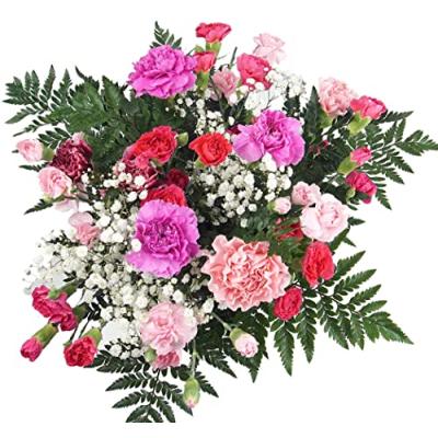 Homeland Florists Carnation Bouquet