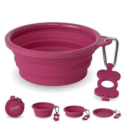Bonza Collapsible Dog Bowl