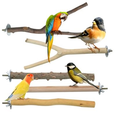 Wooden Bird Perch Set