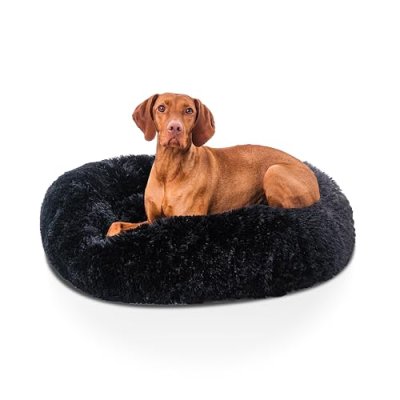 Woof & Whiskers Dog Bed
