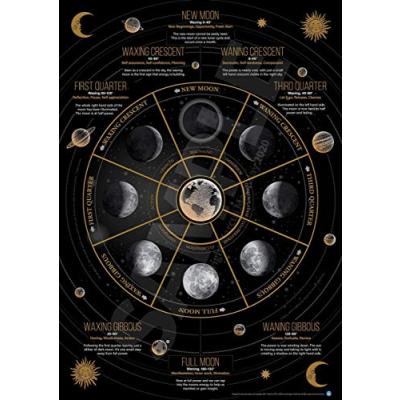 Moon Poster with Lunar Phases