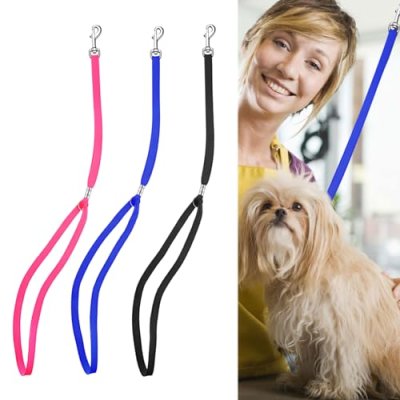 Noose Dog Restraint Set