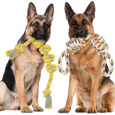 ETACCU Rope Dog Toys, 2-Pack
