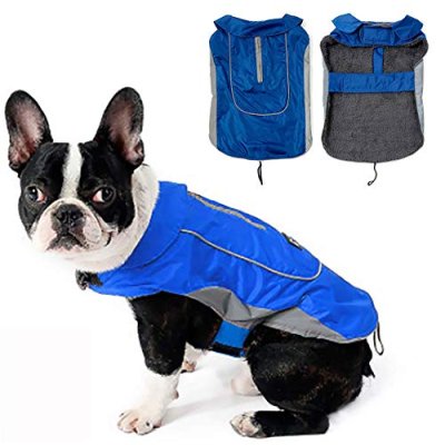 Morezi Dog Coat