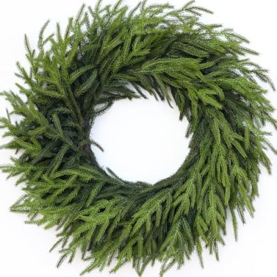 Norfolk Pine Christmas Wreath