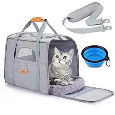 Morpilot Pet Carrier