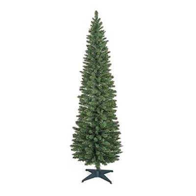 Norway Spruce Slim Tree