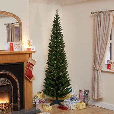 Norway Spruce Slim Tree