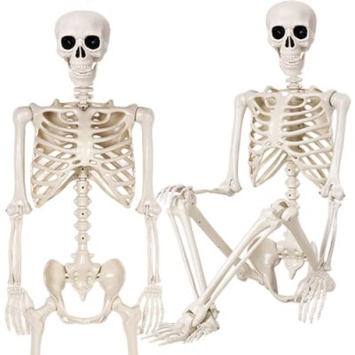 Posable Halloween Skeletons