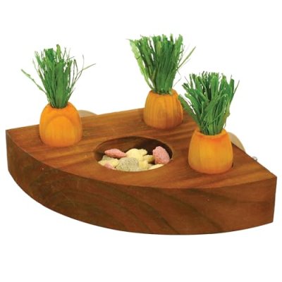 Rosewood Carrot Toy & Treat Holder