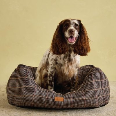 Rosewood x Joules Dog Bed