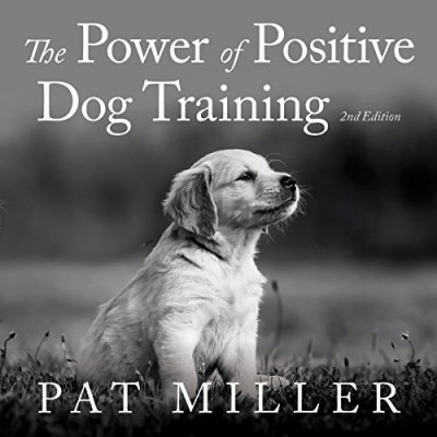 Positive Dog Training