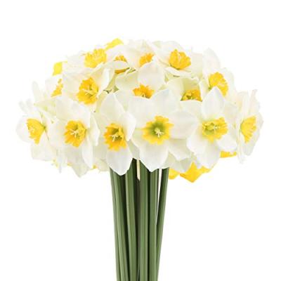 Mossyard Artificial Daffodils with Long Stems