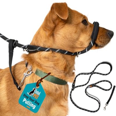 Total Pet Dog Lead