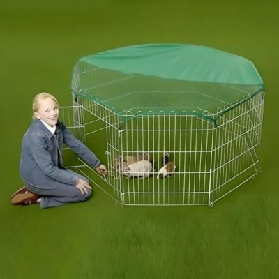 Double Dragon Pet Playpen