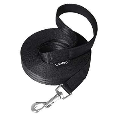 Loutep Dog Training Lead