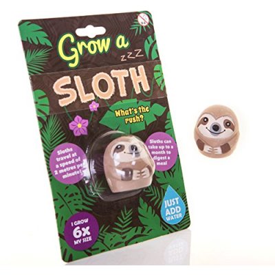 Boxer Gifts Grow a Sloth
