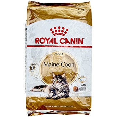 Royal Canin Maine Coon