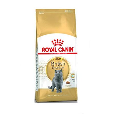Royal Canin Cat Food