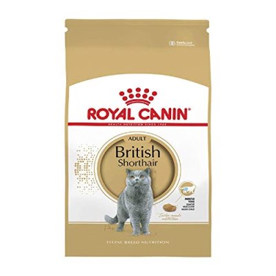 Royal Canin Cat Food