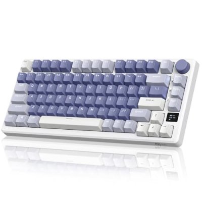 RK Royal Kludge M75 Keyboard