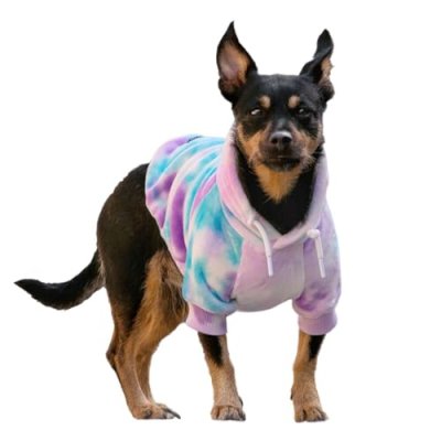 Spark Paws Dog Hoodie
