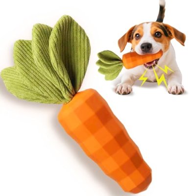 Squeaky Dog Chew Toy