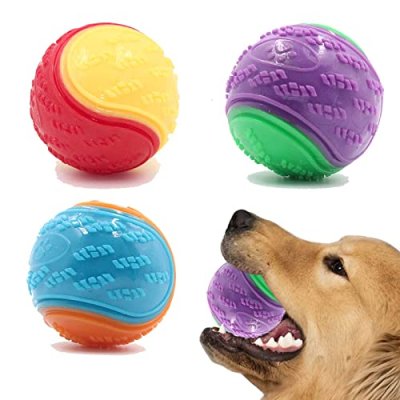 Squeaky Dog Training Ball