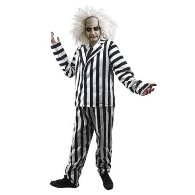 Dragons Den Beetle Man Costume