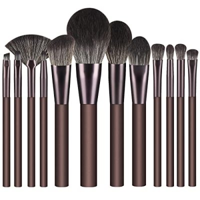 Premium Makeup Brush Set