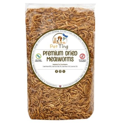 Premium Mealworms